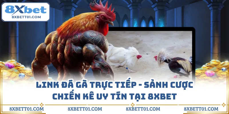 Link Đá Gà Trực Tiếp - Sảnh Cược Chiến Kê Uy Tín Tại 8XBET